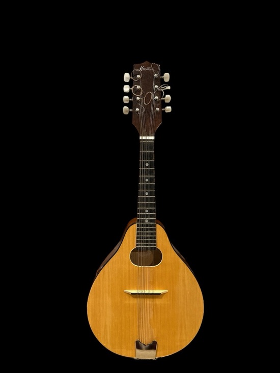 Montana Other - Vintage Mandolin with Natural Wood Finish